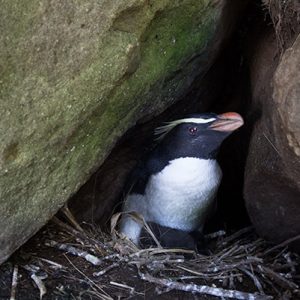 Living on shaky ground