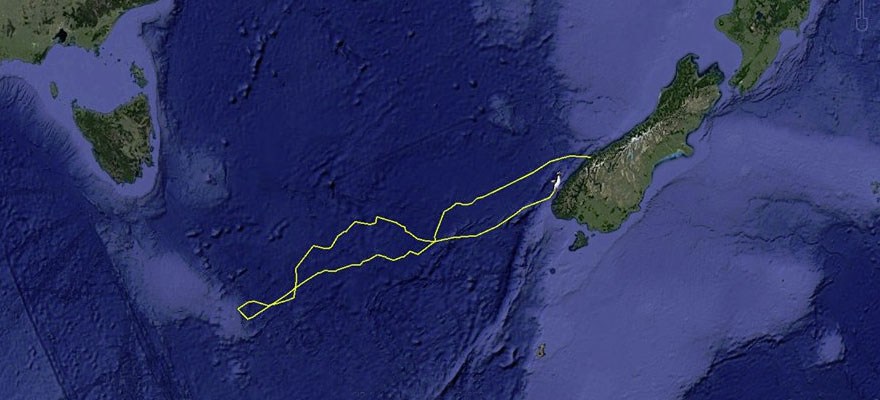 Homecoming Homecoming