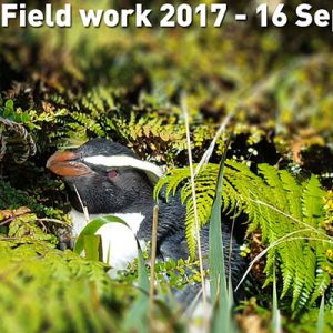 Field work 2017, Day 1
