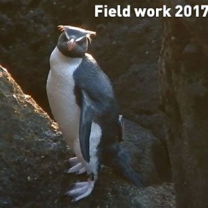 Field work 2017, Day 18