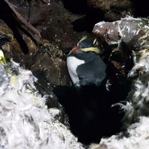 Underground Winter Wonderland