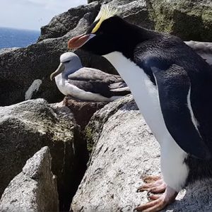 It is happening! It is happening!