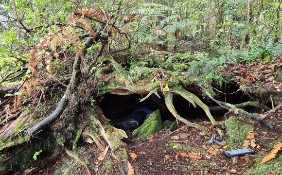 Field work 2022 underway