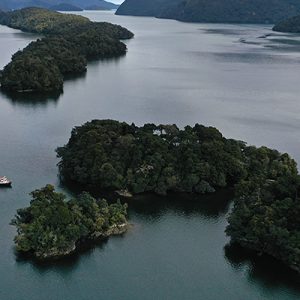 Tawaki numbers – increase or previous underestimate?