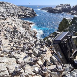 Close-quarter & long-distance counts