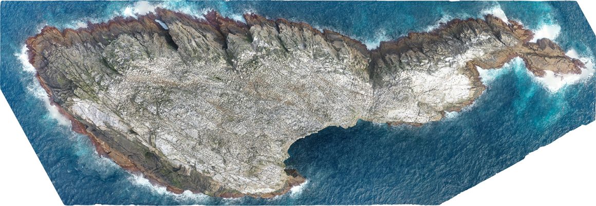 Bonus level: finishing up the Bounties Bonus level: finishing up the Bounties