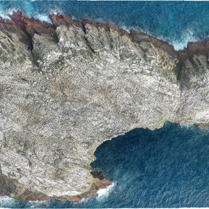 Bonus level: finishing up the Bounties