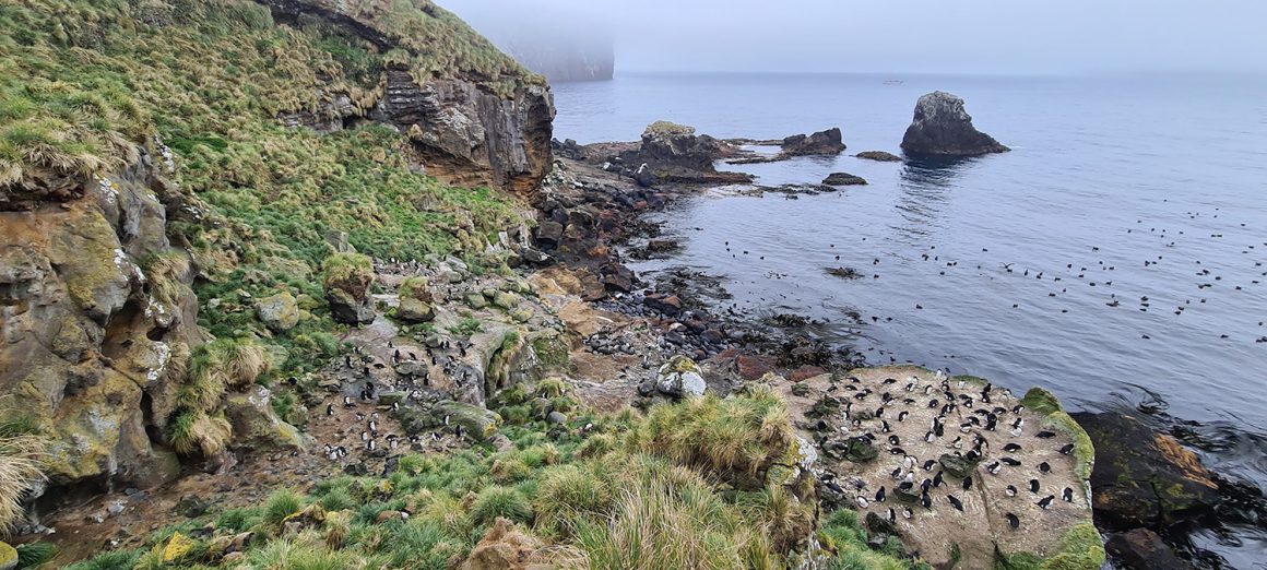 Spring Cleaning Spring Cleaning