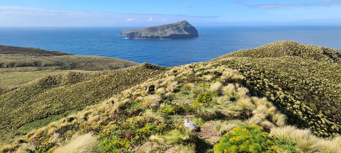 A day in pictures and videos A day in pictures and videos