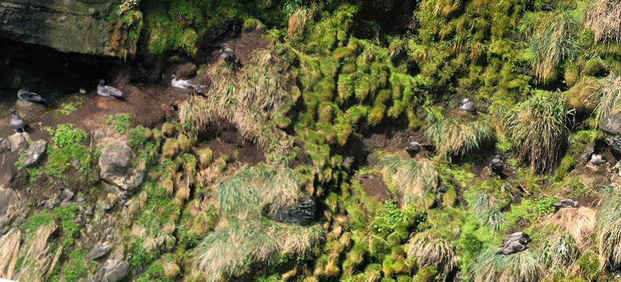 A draw and two wins A draw and two wins