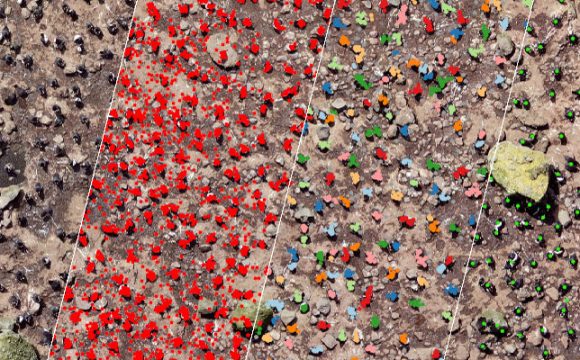 Penguins from above – Zooniverse β