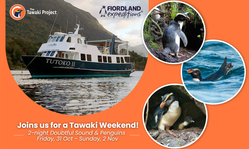Join us for a tawaki weekend! Join us for a tawaki weekend!