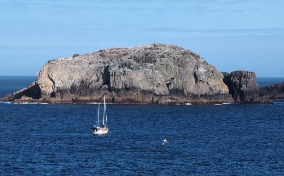 Southward to the Subantarctic