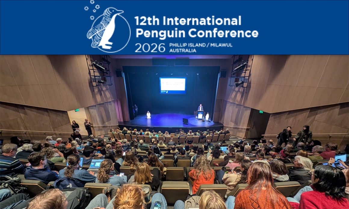 Tawaki Project at IPC12