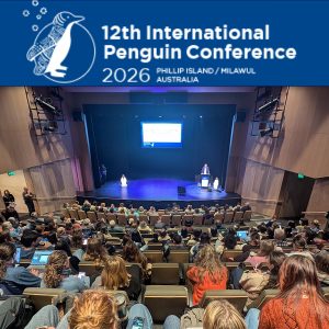 Tawaki Project at IPC12