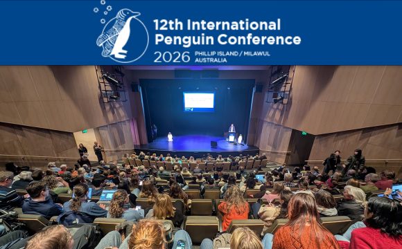 Tawaki Project at IPC12