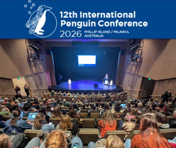Tawaki Project at IPC12